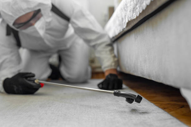 Professional Termite Control technician working in Fircrest, WA