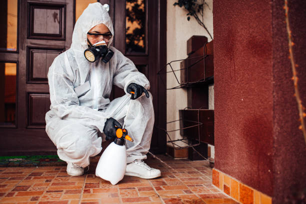 Reliable Termite Control contractor in Fircrest, WA by Nex Pest Control