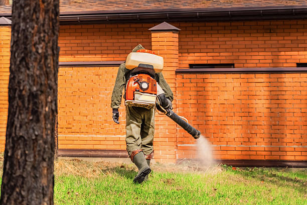 Top rated local Termite Control specialists in Fircrest, WA